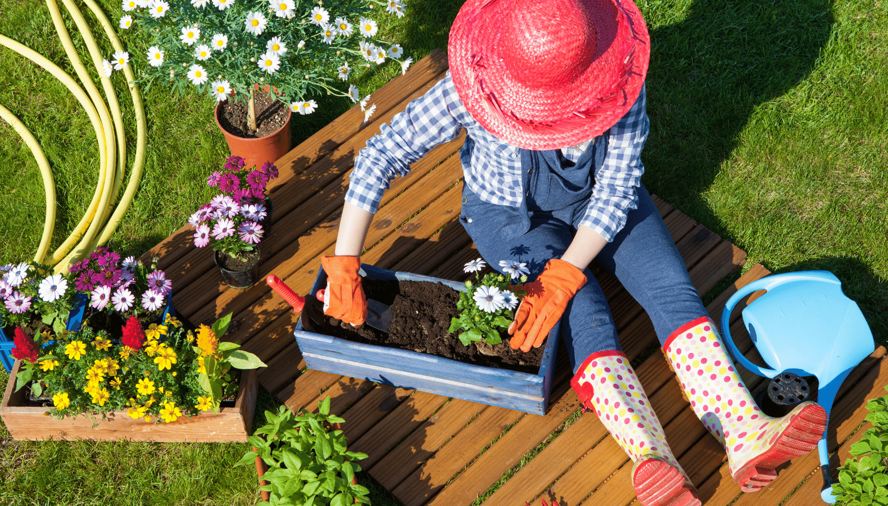 Garden Bed ideas Planting