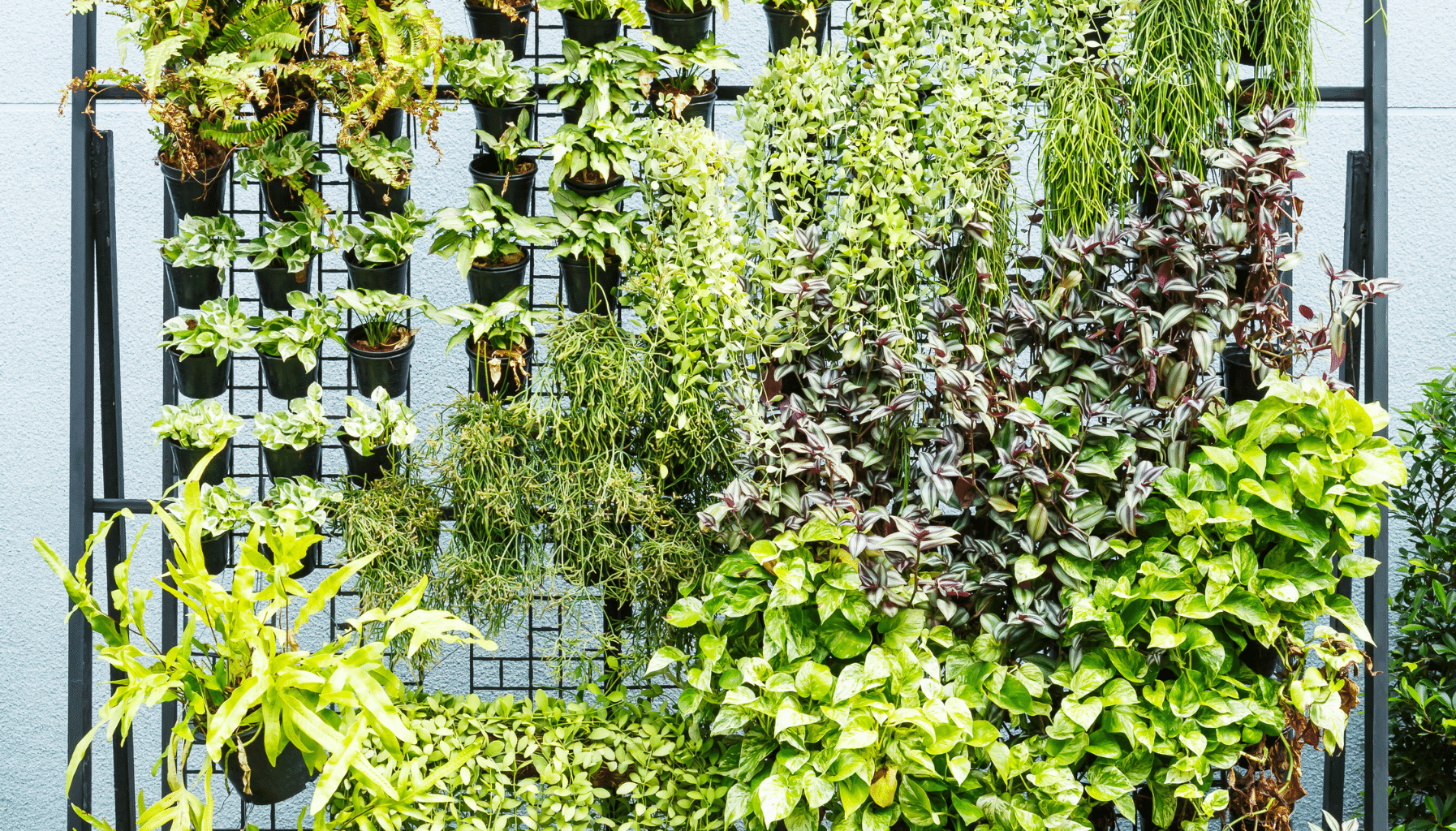 Garden Bed Ideas Container Gardens