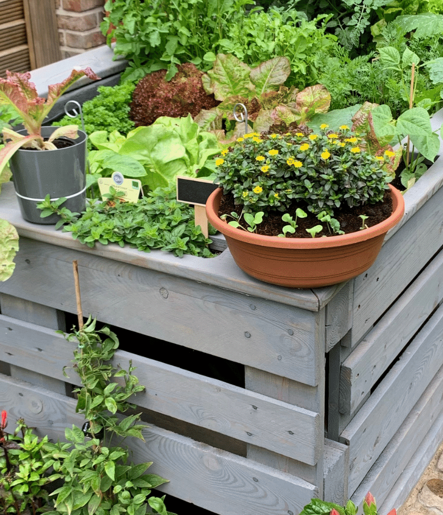 Garden Bed Ideas Raised Bed Gardens