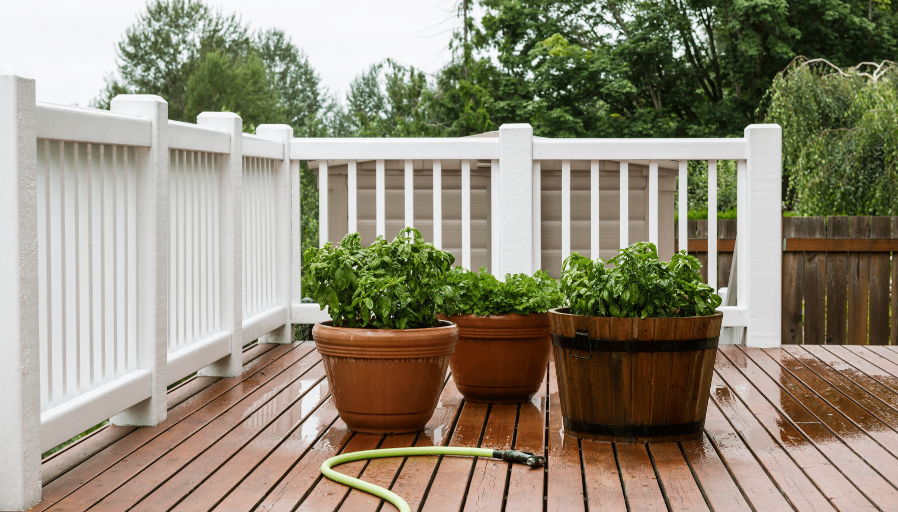 Garden Bed Ideas Small Gardens Ideas Patio Garden Container Garden