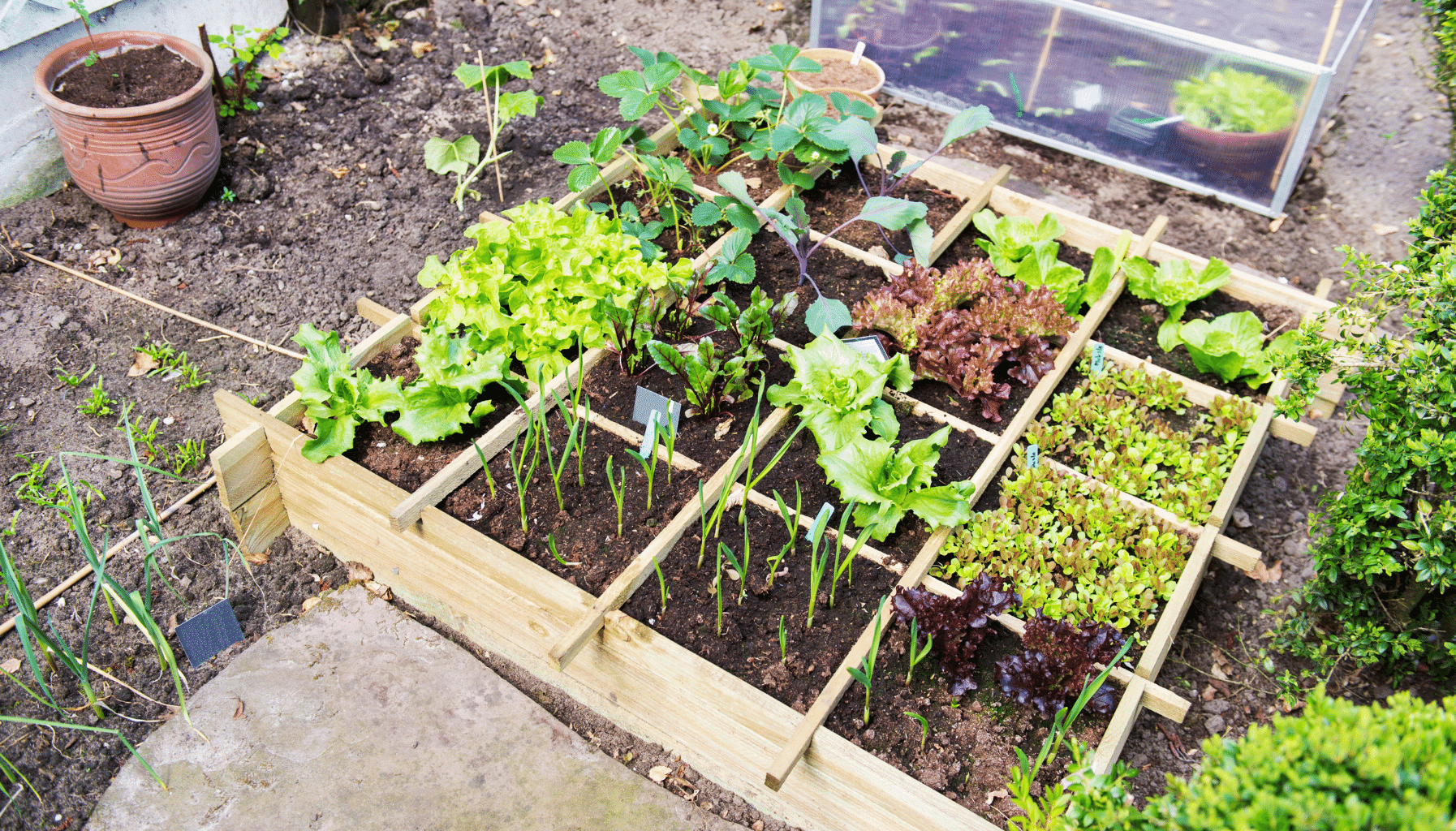 Garden Bed Ideas Square Foot Garden
