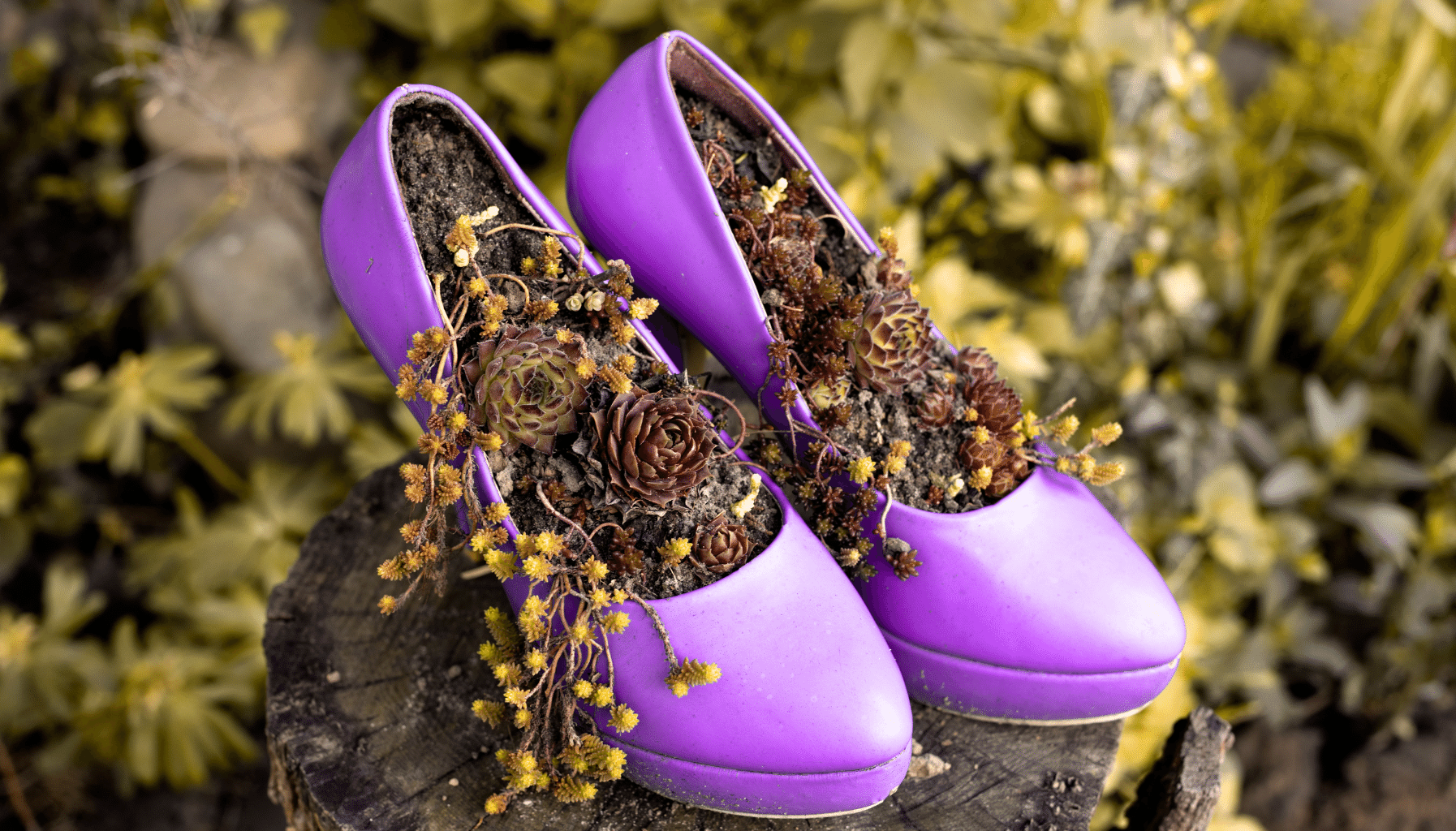 Garden Bed Ideas Unique Gardens Ideas