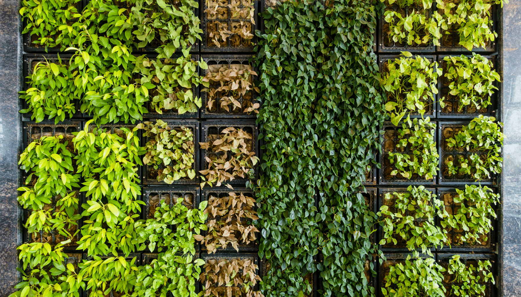 Garden Bed Ideas Vertical Gardens Ideas