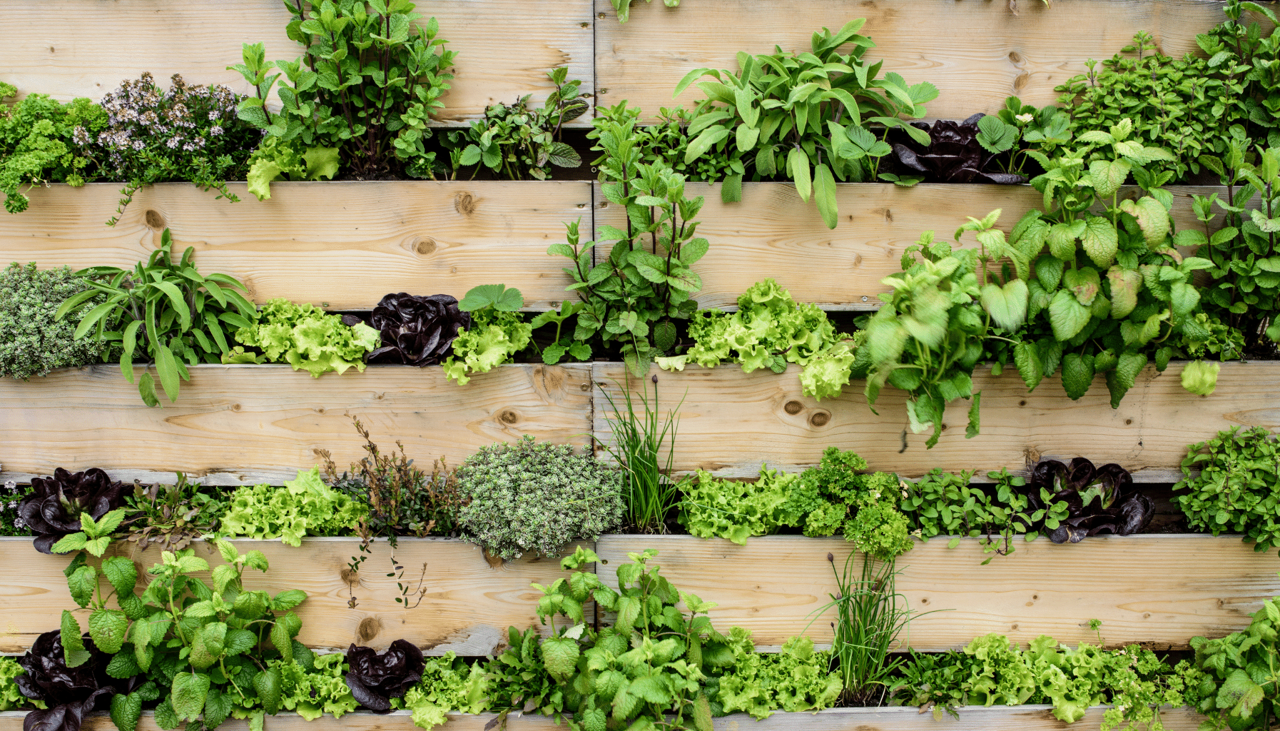 Garden Bed Ideas Vertical Gardens Ideas
